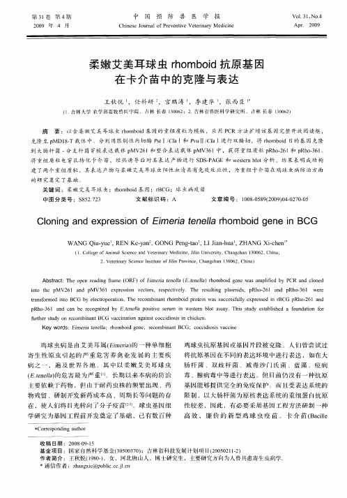 柔嫩艾美耳球虫rhomboid抗原基因在卡介苗中的克隆与表达