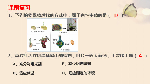 北师大版八年级下第23章第二节  生态系统概述