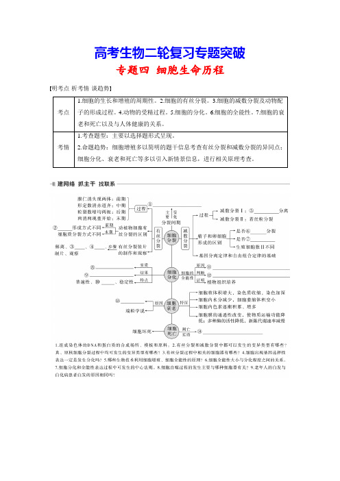 高考生物二轮复习专题突破：4-1 有丝分裂与减数分裂及相关比较