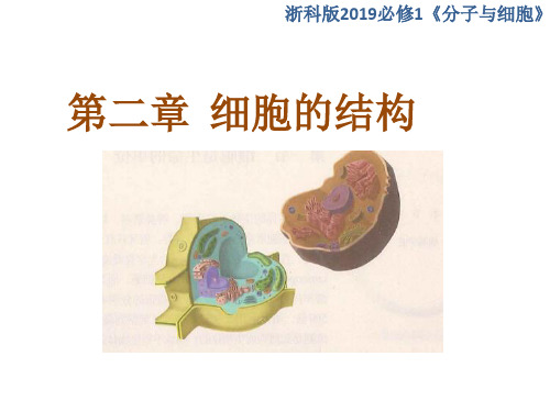 2-1细胞是生命的单位-高一生物上学期同步教学优质课件