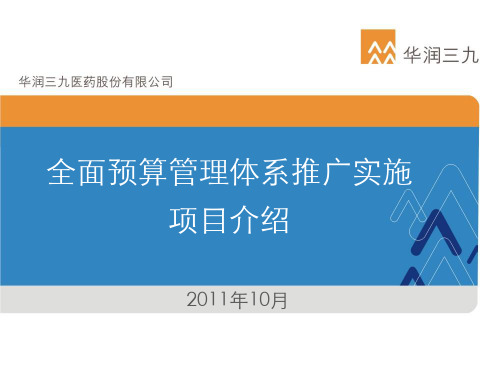 华润全面预算管理体系推广实施项目介绍ppt课件