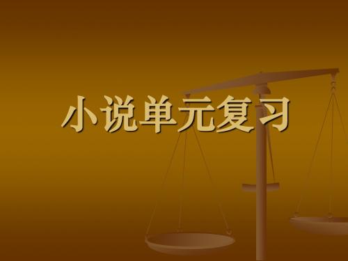 语文版八年级上小说单元复习ppt教学课件