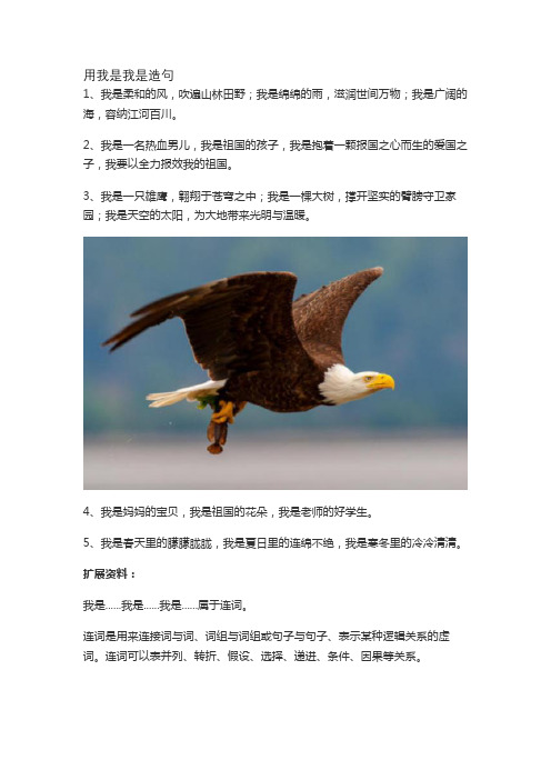 用我是我是造句