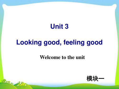 牛津译林版高中英语Module 1 Unit 3 Welcome to the unit教学课件