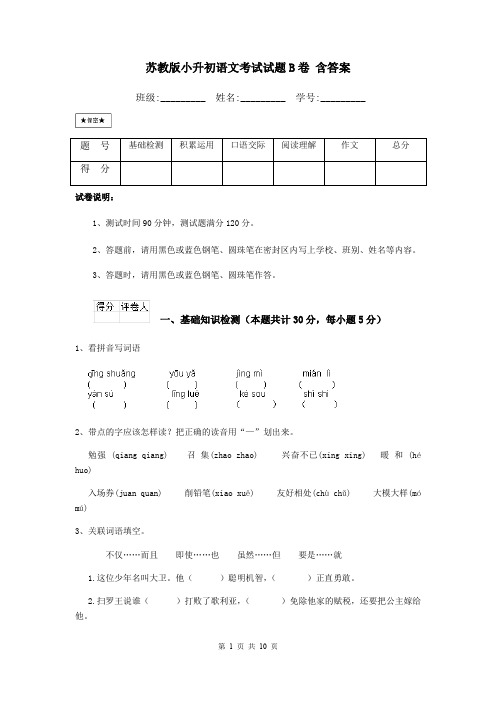 苏教版小升初语文考试试题B卷 含答案