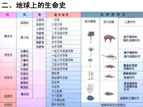 生物的进化(生命史)