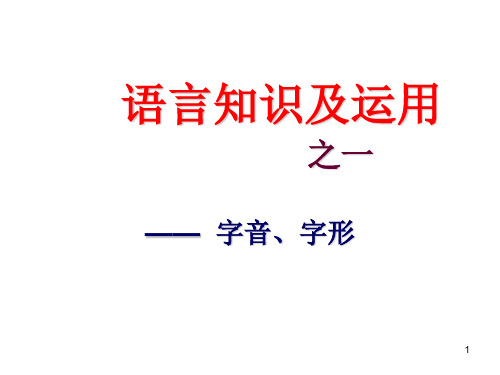 字音和字形PPT课件