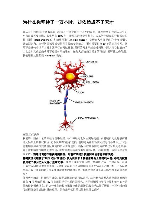 为什么你坚持了一万小时