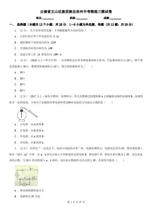 云南省文山壮族苗族自治州中考物理三模试卷