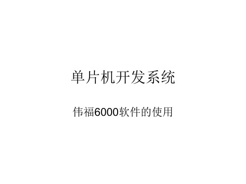 伟福6000的使用