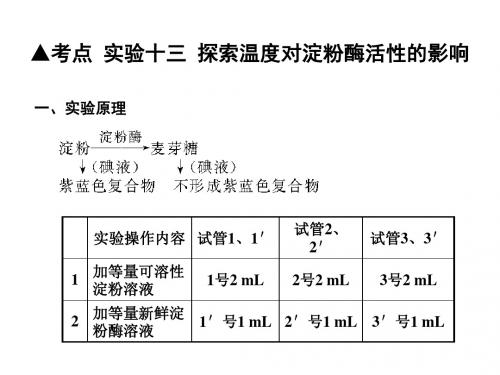 人体生命活动的调节和免疫ppt2精品课件 4