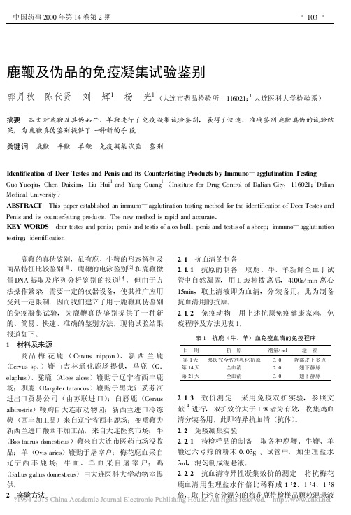 鹿鞭及伪品的免疫凝集试验鉴别