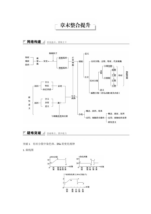 高中生物第五章细胞增殖分化衰老和死亡章末整合苏教版必修
