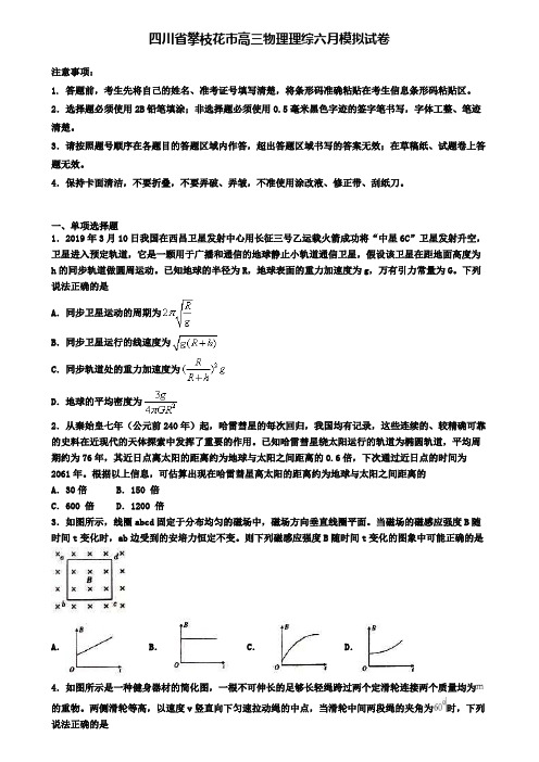 四川省攀枝花市高三物理理综六月模拟试卷