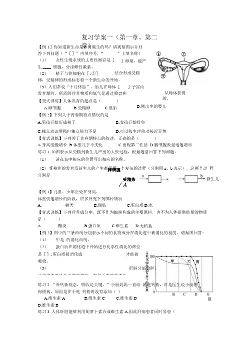 七年级下册复习课学案.docx