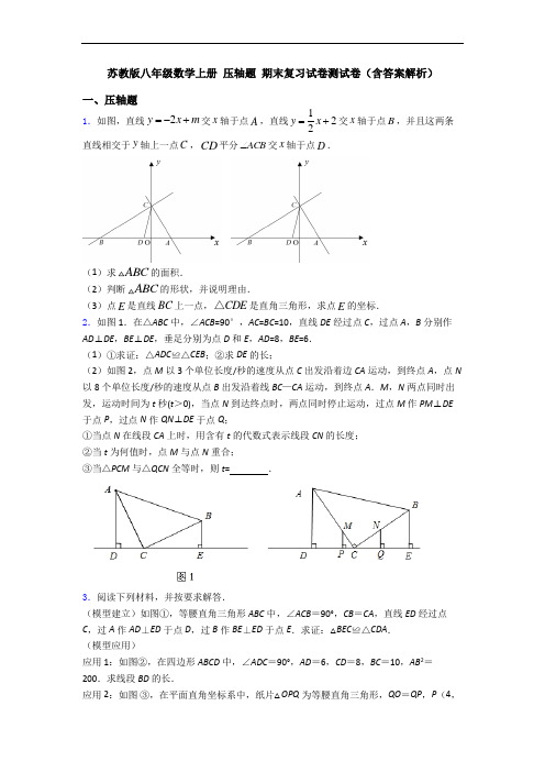 苏教版八年级数学上册 压轴题 期末复习试卷测试卷(含答案解析)