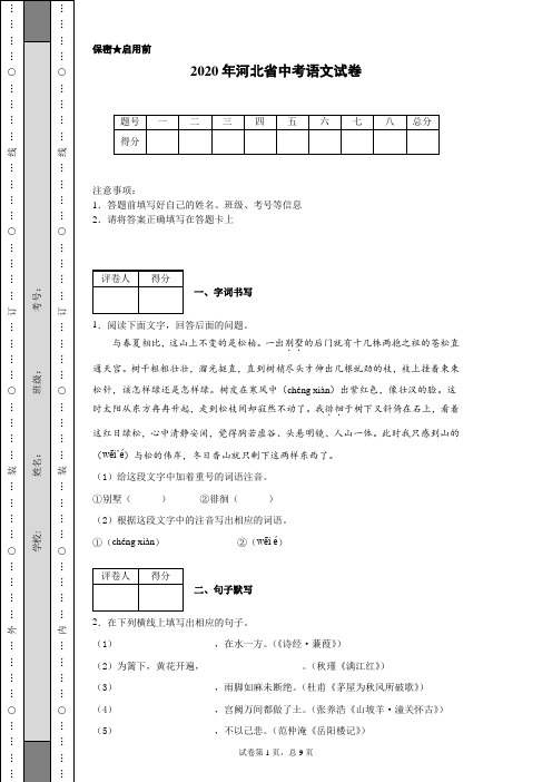 2020年河北省中考语文试卷(含详细解析)