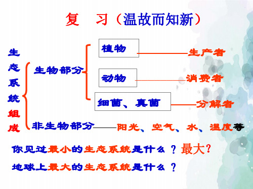 北京课改版-生物-八年级下册-14.3《生态系统》课件