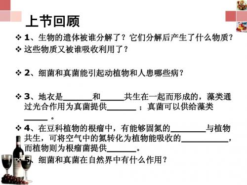 人类对细菌和真菌的利用_PPT课件