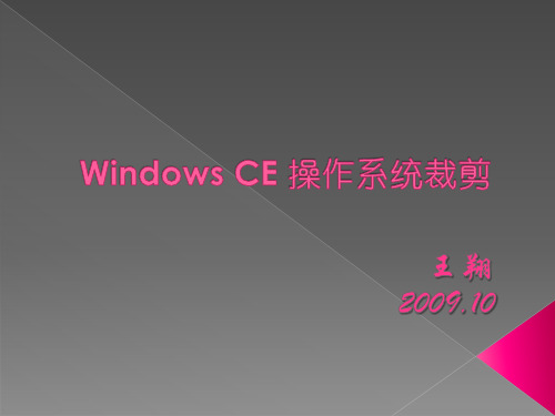 Windows+CE+操作系统裁剪