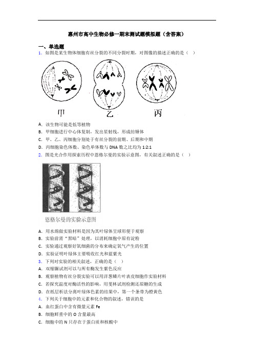 惠州市高中生物必修一期末测试题模拟题(含答案)