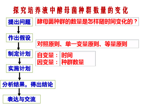 实验专题：探究酵母菌种群数量变化