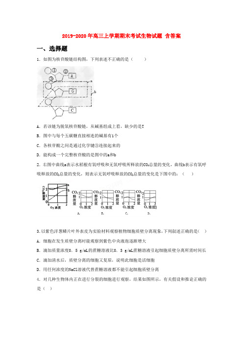 2019-2020年高三上学期期末考试生物试题 含答案