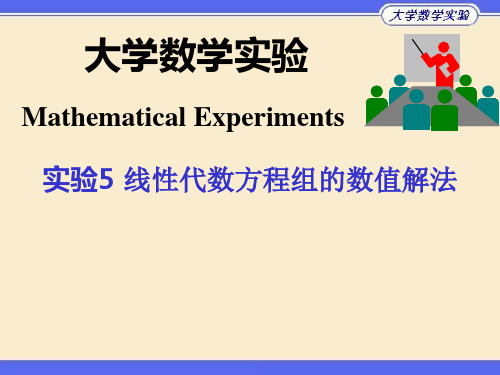 数学建模线性方程组的数值解法