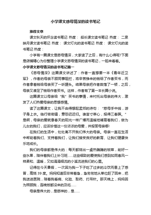 小学课文慈母情深的读书笔记