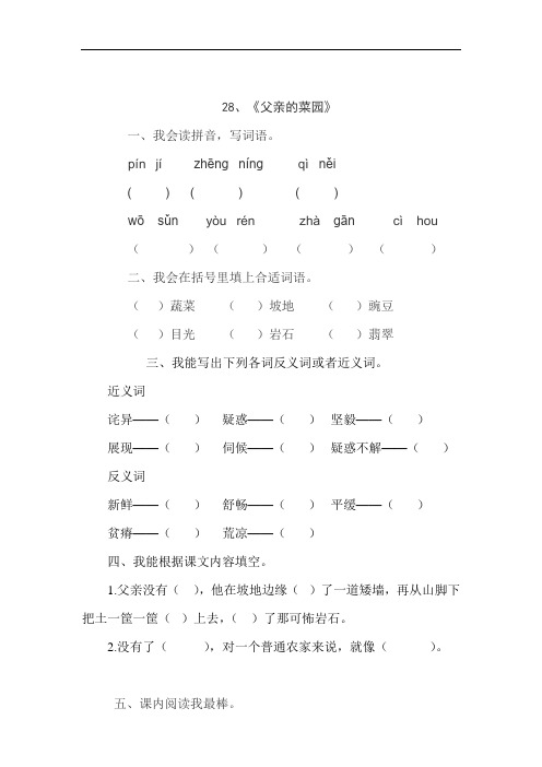 人教版四年级语文下册28、父亲的菜园(练习题)