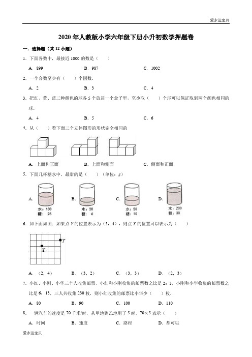 小学六年级下册小升初数学押题卷5(人教版含解析)