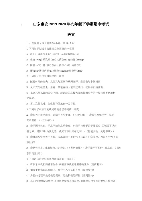 山东泰安2019-2020年九年级下学期期中考试 语文(含答案)