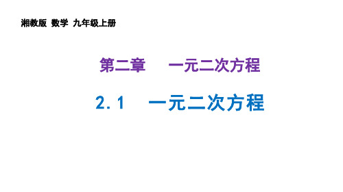 一元二次方程课件2021-2022学年湘教版数学九年级上册