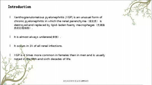 黄色肉芽肿性肾盂肾炎PPT课件