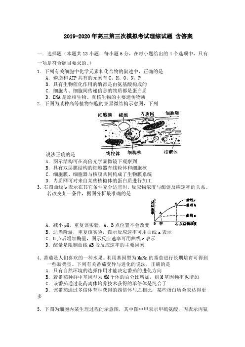 2019-2020年高三第三次模拟考试理综试题 含答案