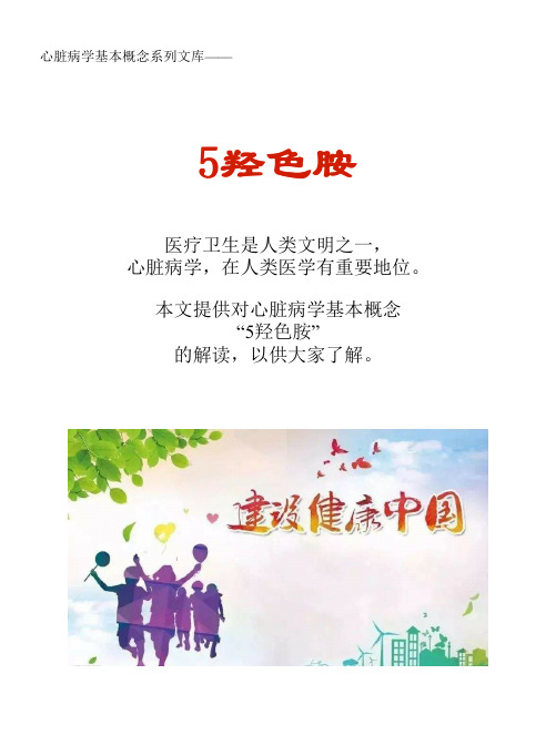 心脏病学基本概念系列文库：5羟色胺