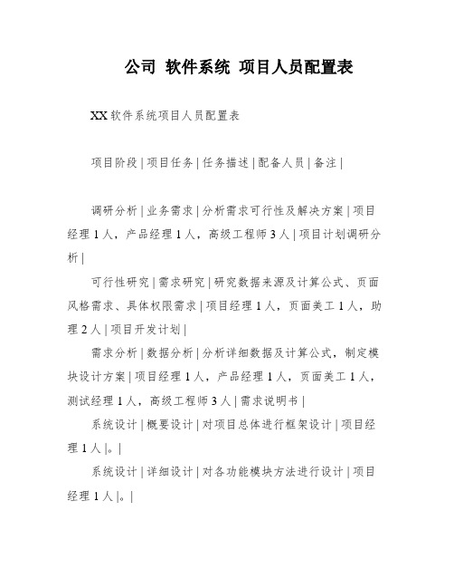 公司 软件系统 项目人员配置表