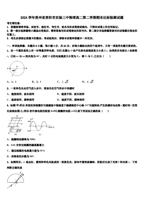 2024学年贵州省贵阳市实验三中物理高二第二学期期末达标检测试题(含解析)