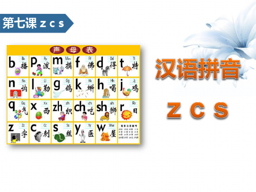 《zcs》汉语拼音 图文