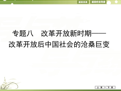 专题八 改革开放新时期——改革开放后中国社会的沧桑巨变