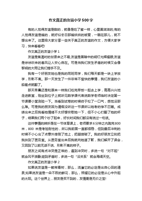 作文真正的友谊小学500字