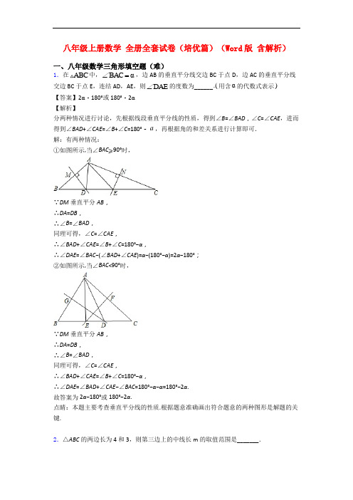 八年级上册数学 全册全套试卷(培优篇)(Word版 含解析)