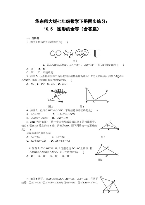 华东师大版七年级数学下册同步练习：10.5 图形的全等