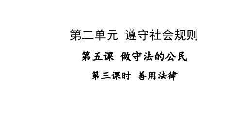 道德与法治八年级上册 5.3 善用法律 课件(19张)