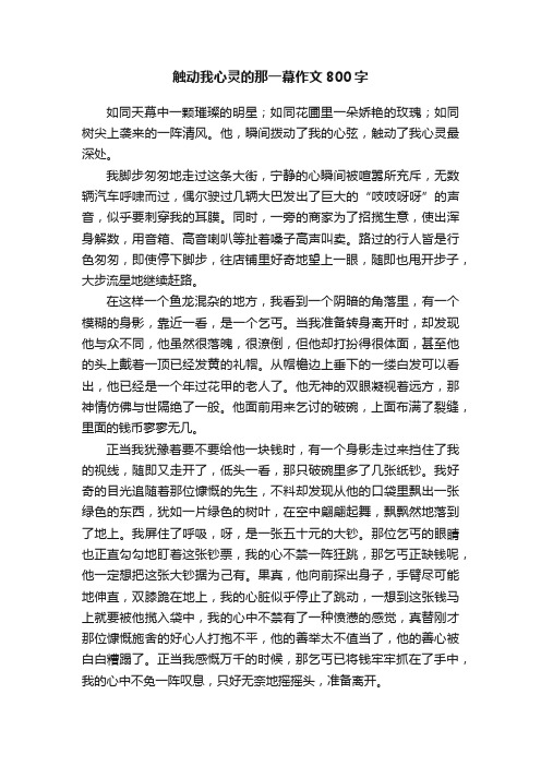 触动我心灵的那一幕作文800字