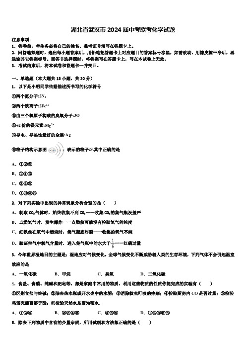 湖北省武汉市2024届中考联考化学试题含解析