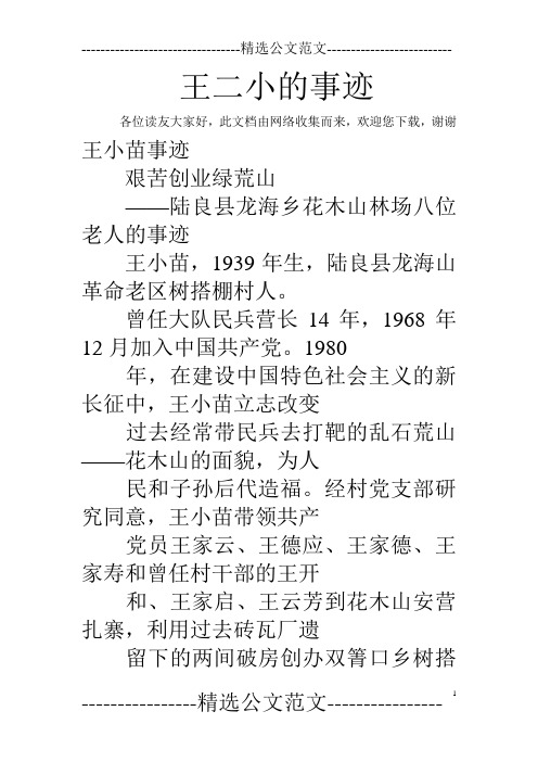 王二小的事迹