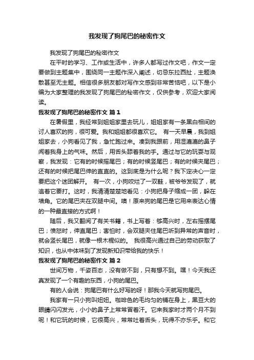 我发现了狗尾巴的秘密作文