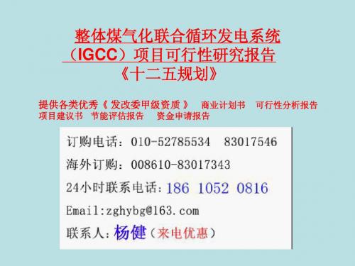 整体煤气化联合循环发电系统(IGCC)可行性研究报告