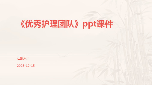 《优秀护理团队》ppt课件